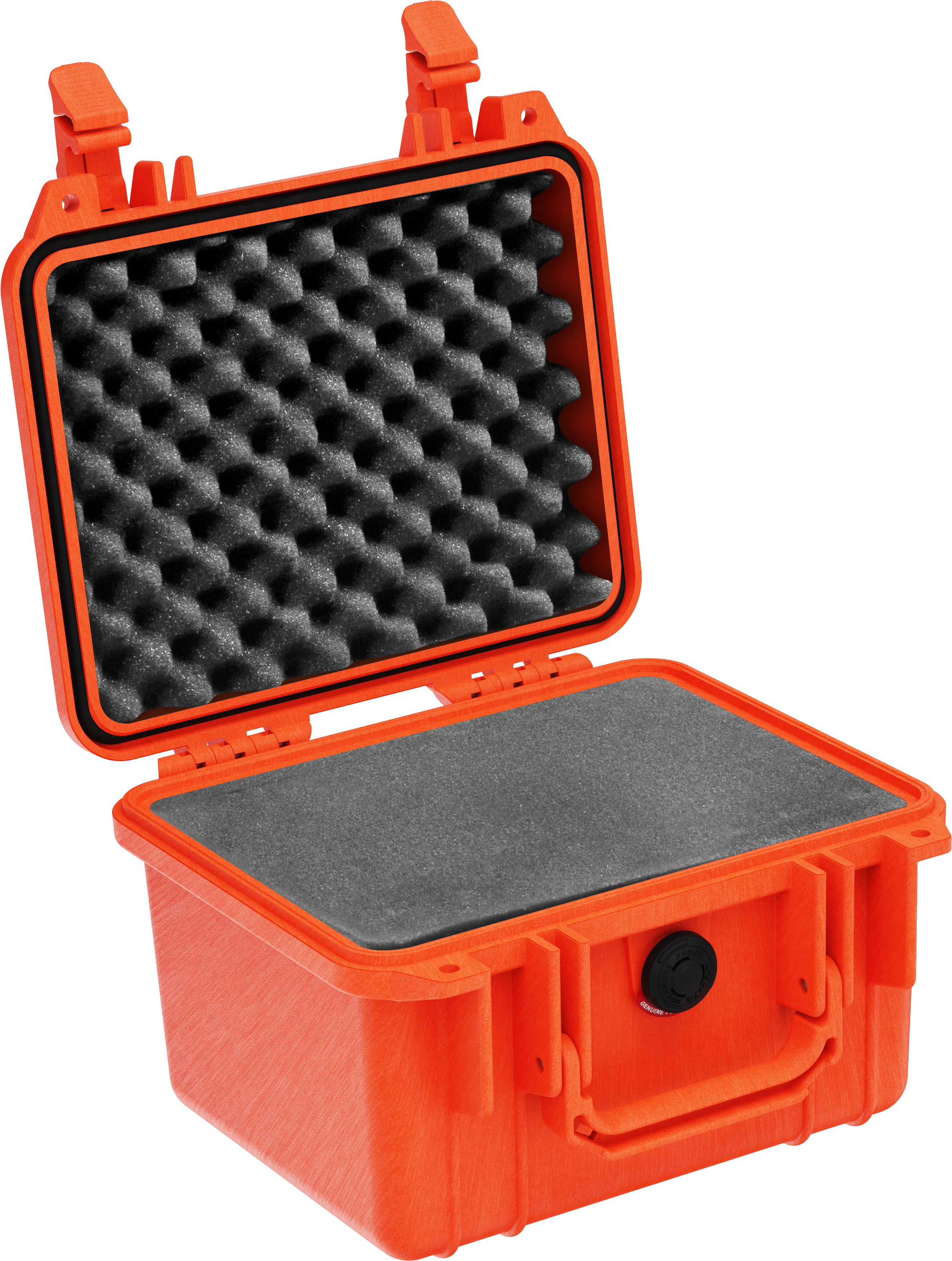 Pelican Protector 1300