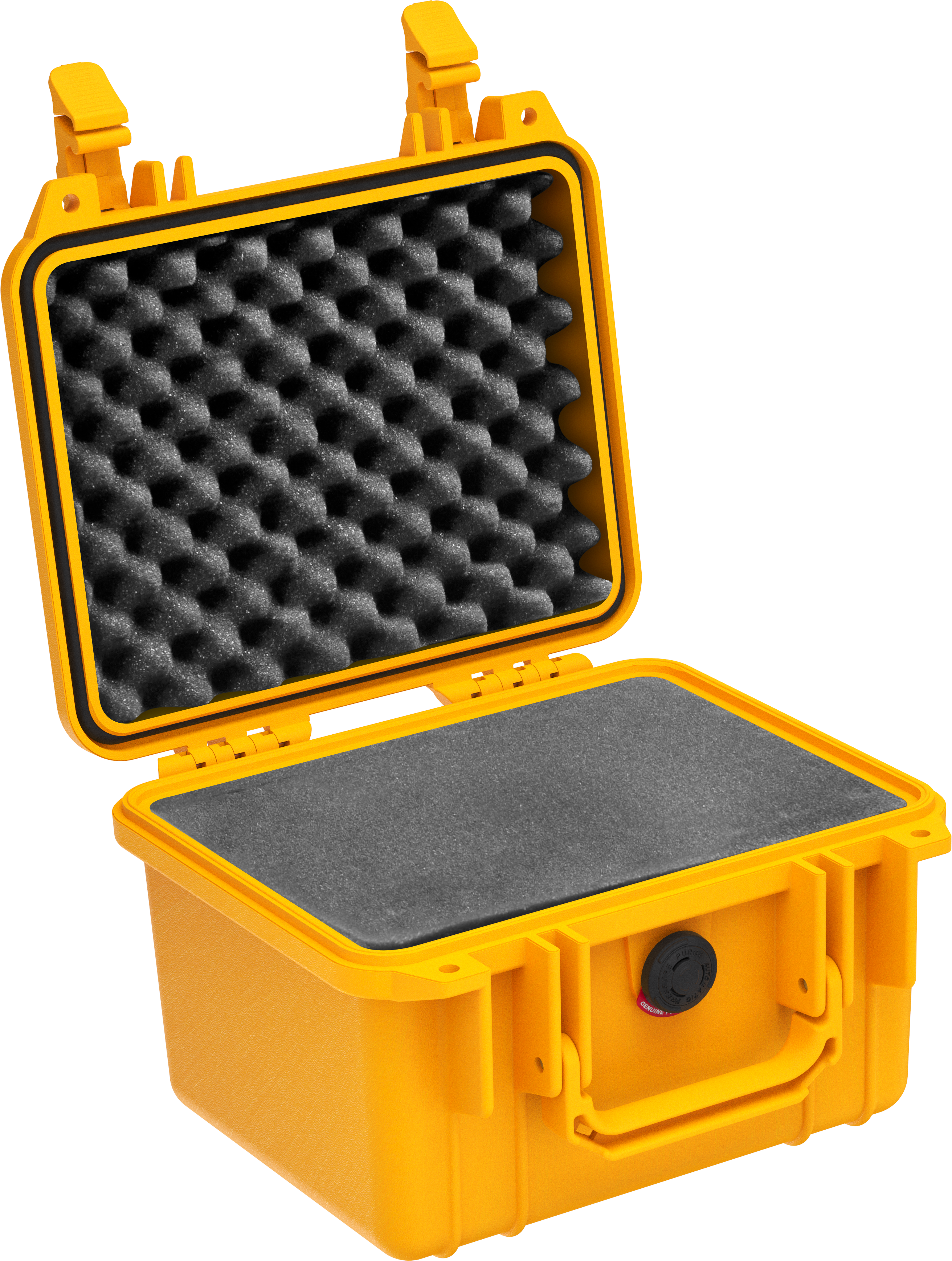 Pelican Protector 1300