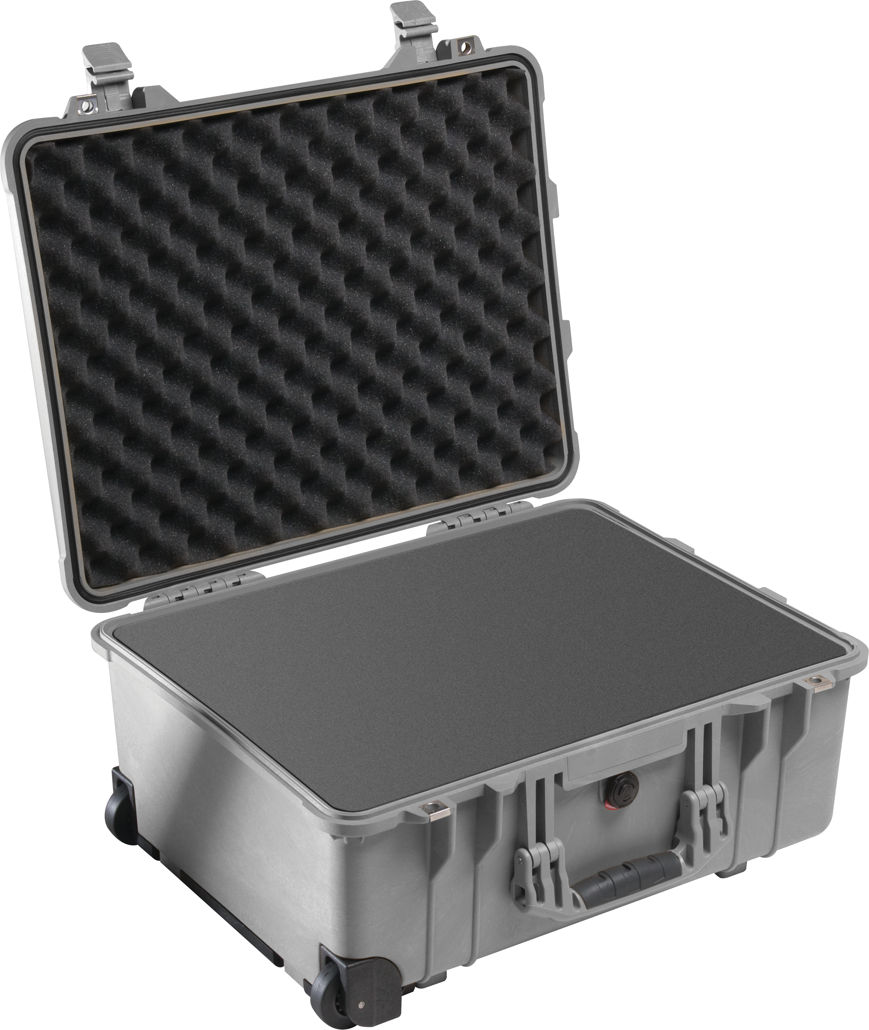 Pelican Protector 1560