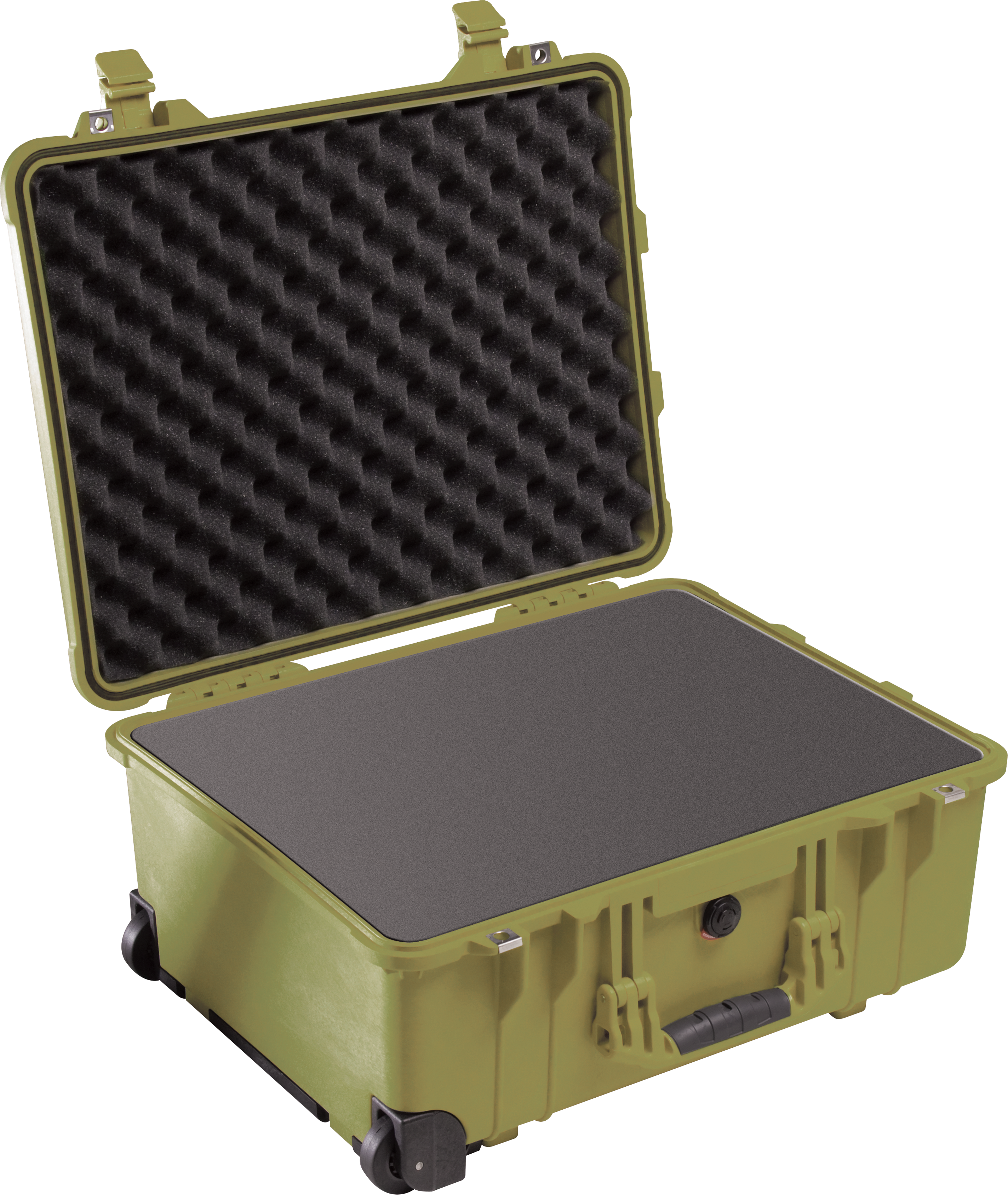 Pelican Protector 1560