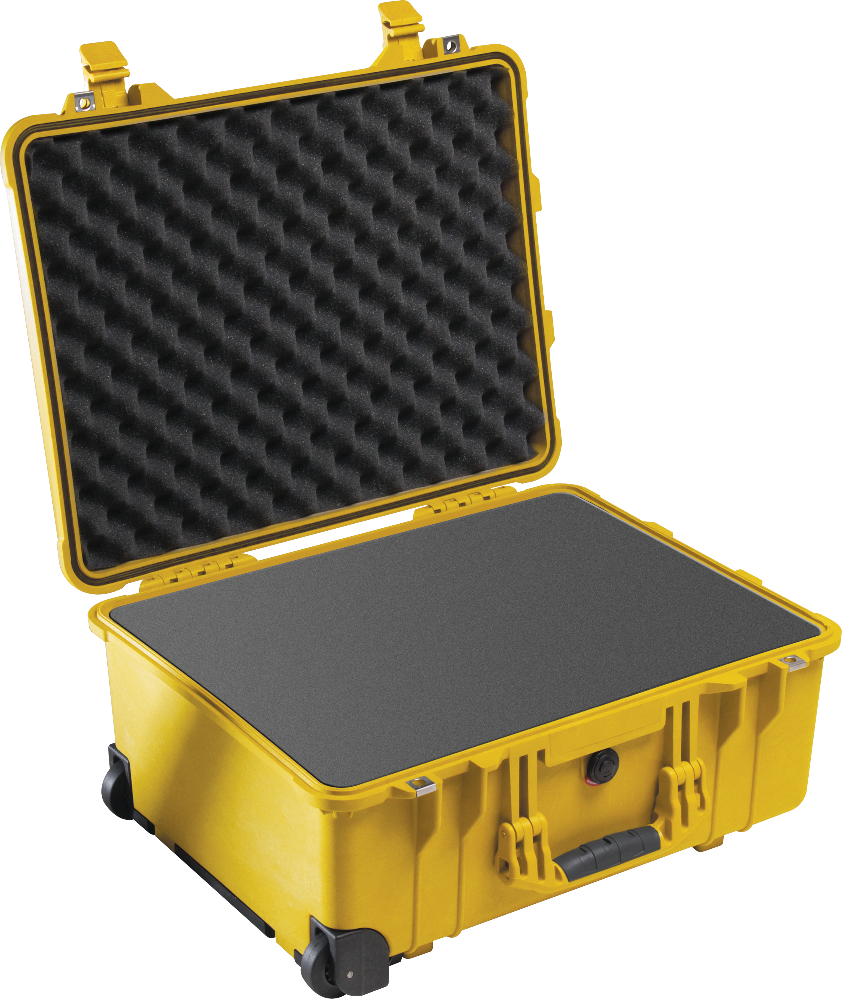 Pelican Protector 1560