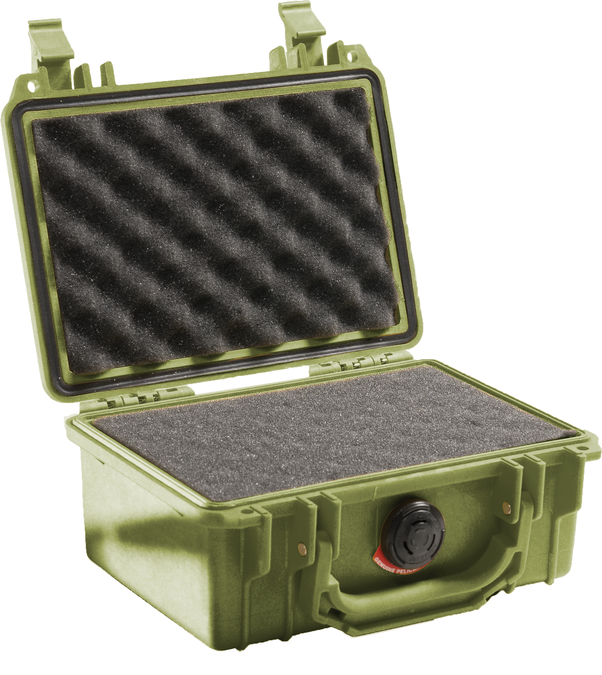 Pelican Protector 1120