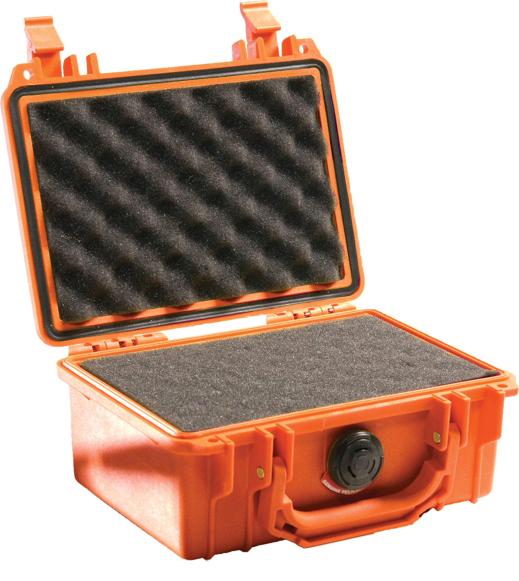 Pelican Protector 1120