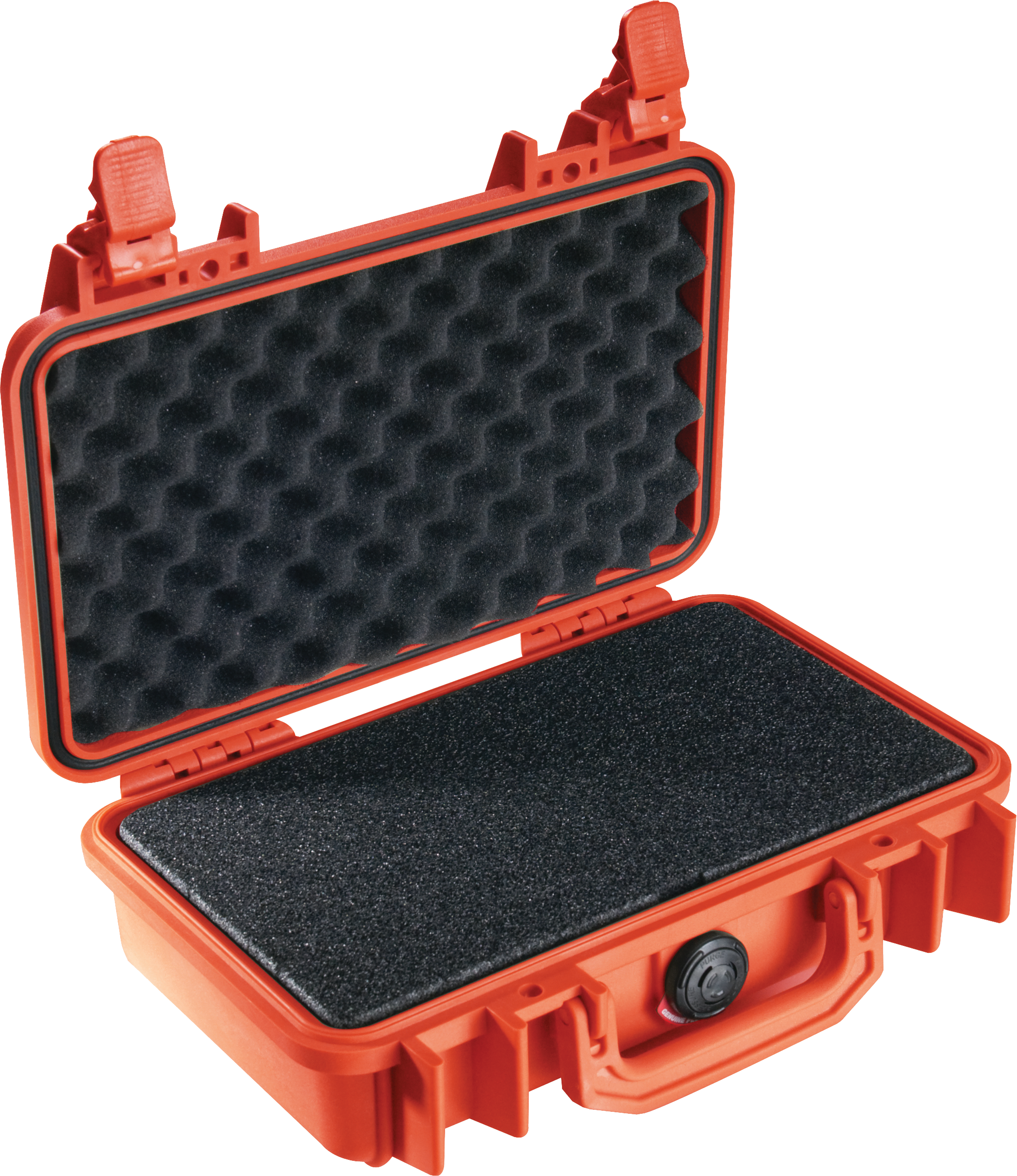 Pelican Protector 1170