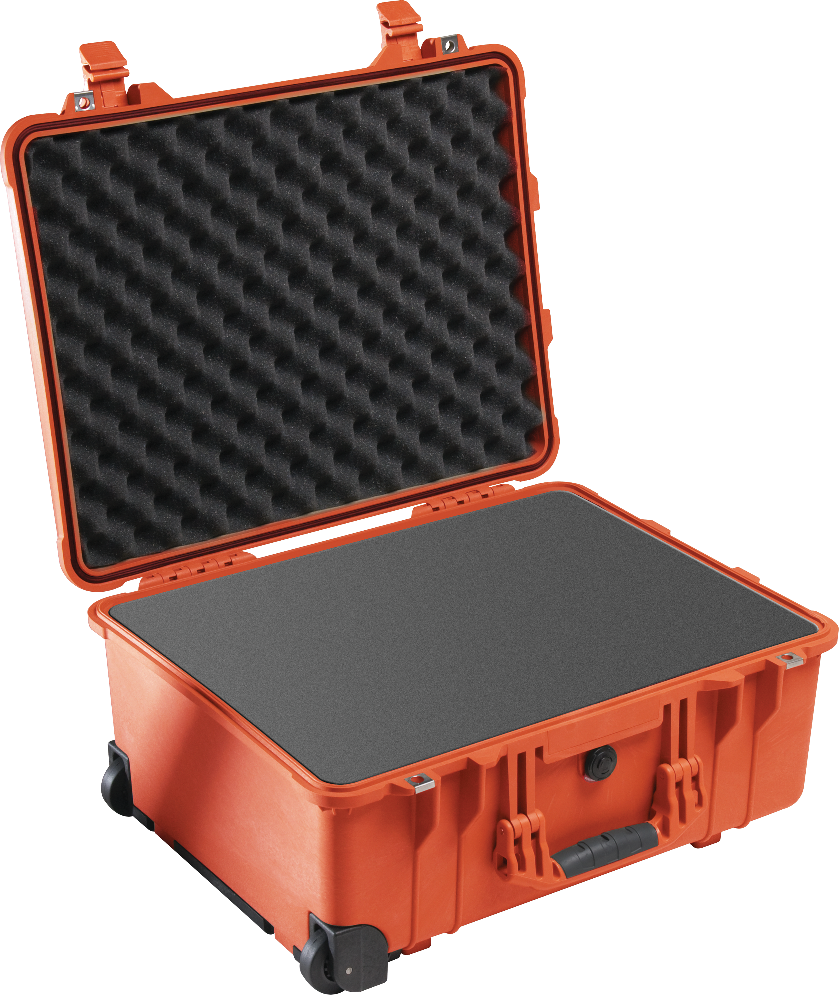 Pelican Protector 1560