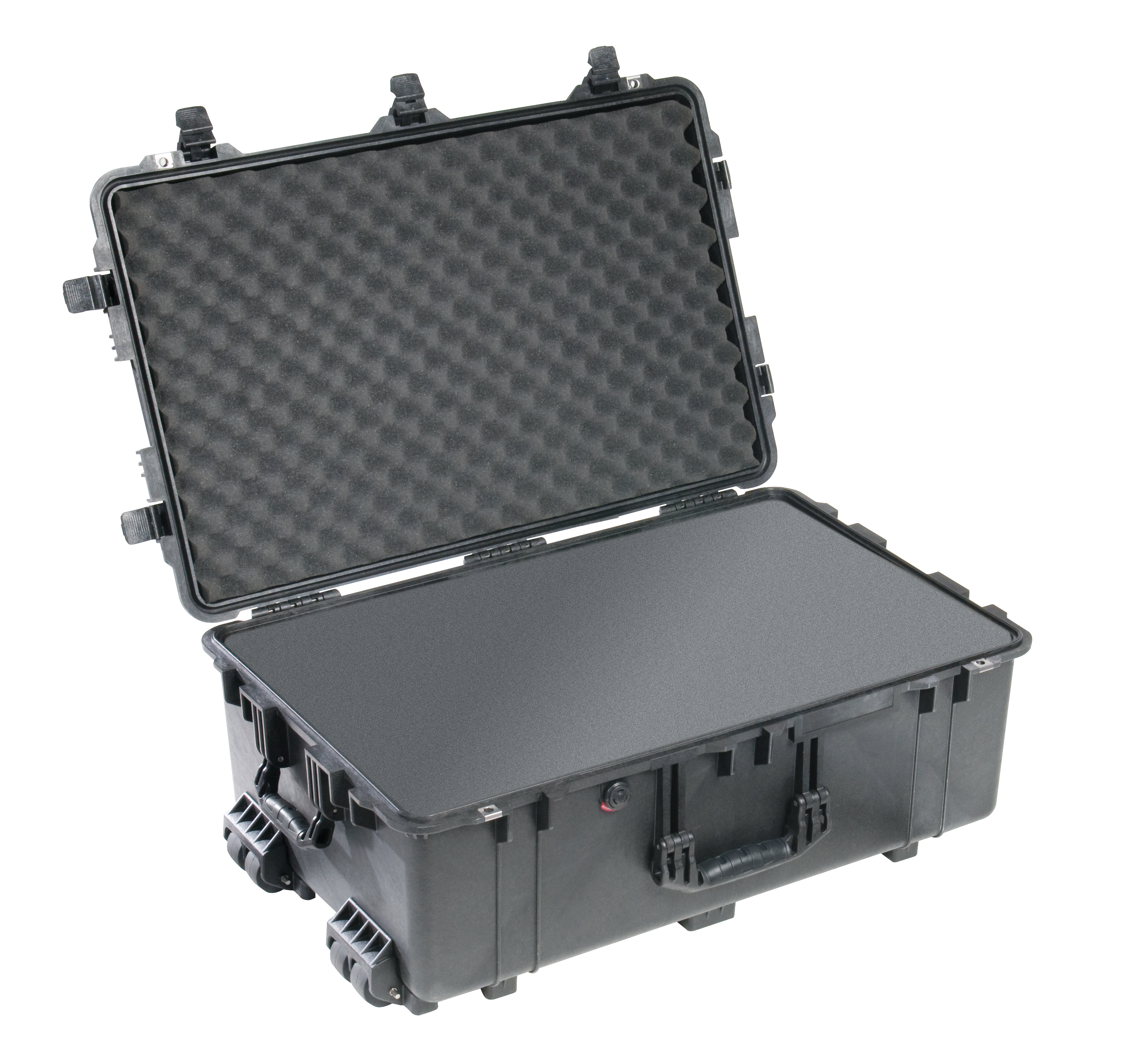 Pelican Protector 1650